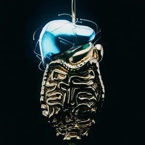 Anatomische Darstellung der menschlichen Leber mit Lage im rechten Oberbauch